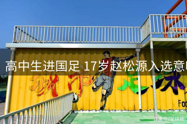 高中生进国足 17岁赵松源入选意味着什么？